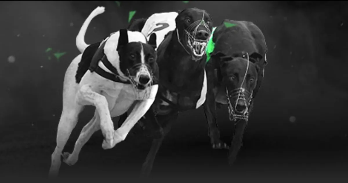 今日,回溯昨晨默,西塞德德比,好博登录入口,好博平台,好博注册网址,好博app,好博官网,好博网站,好博网页版